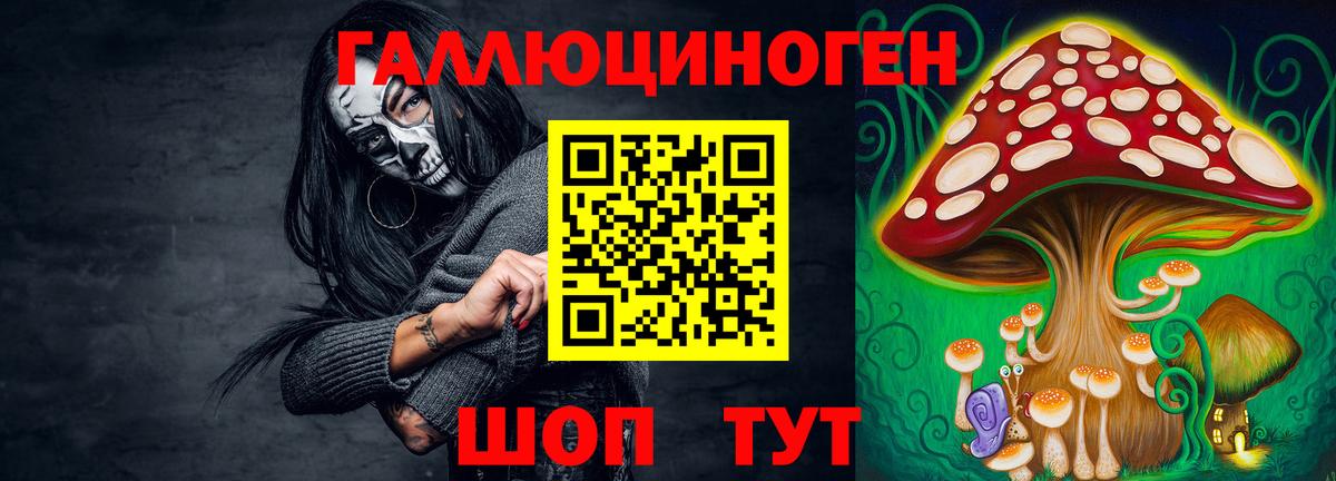 Галлюциногенные грибы Cubensis Саранск